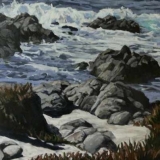 pacific grove shoreline